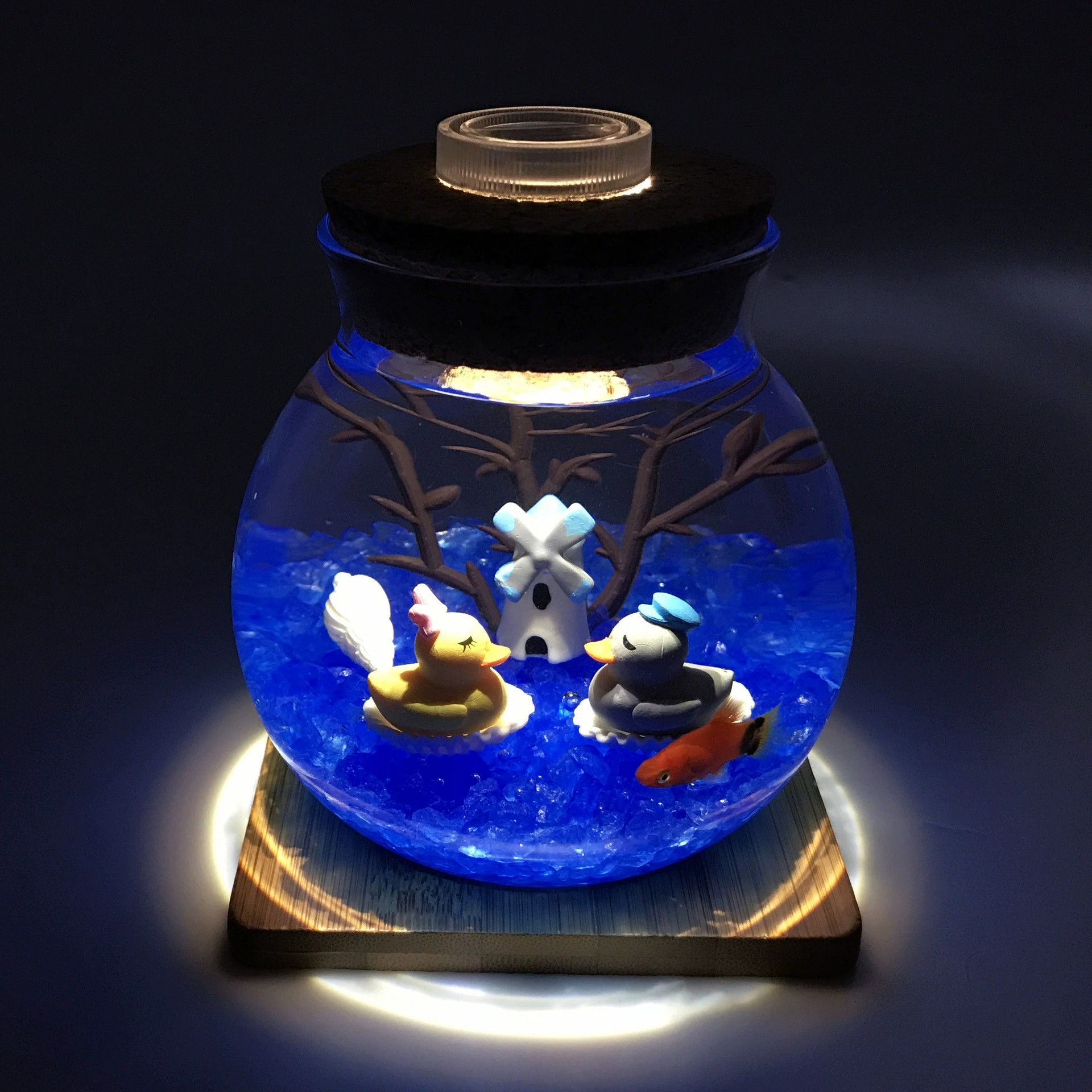 Микро пейзаж экологическая бутылка DIY гидропонное растение Творческий офис небольшой горшок праздничный подарок костюм светящийся аквариум