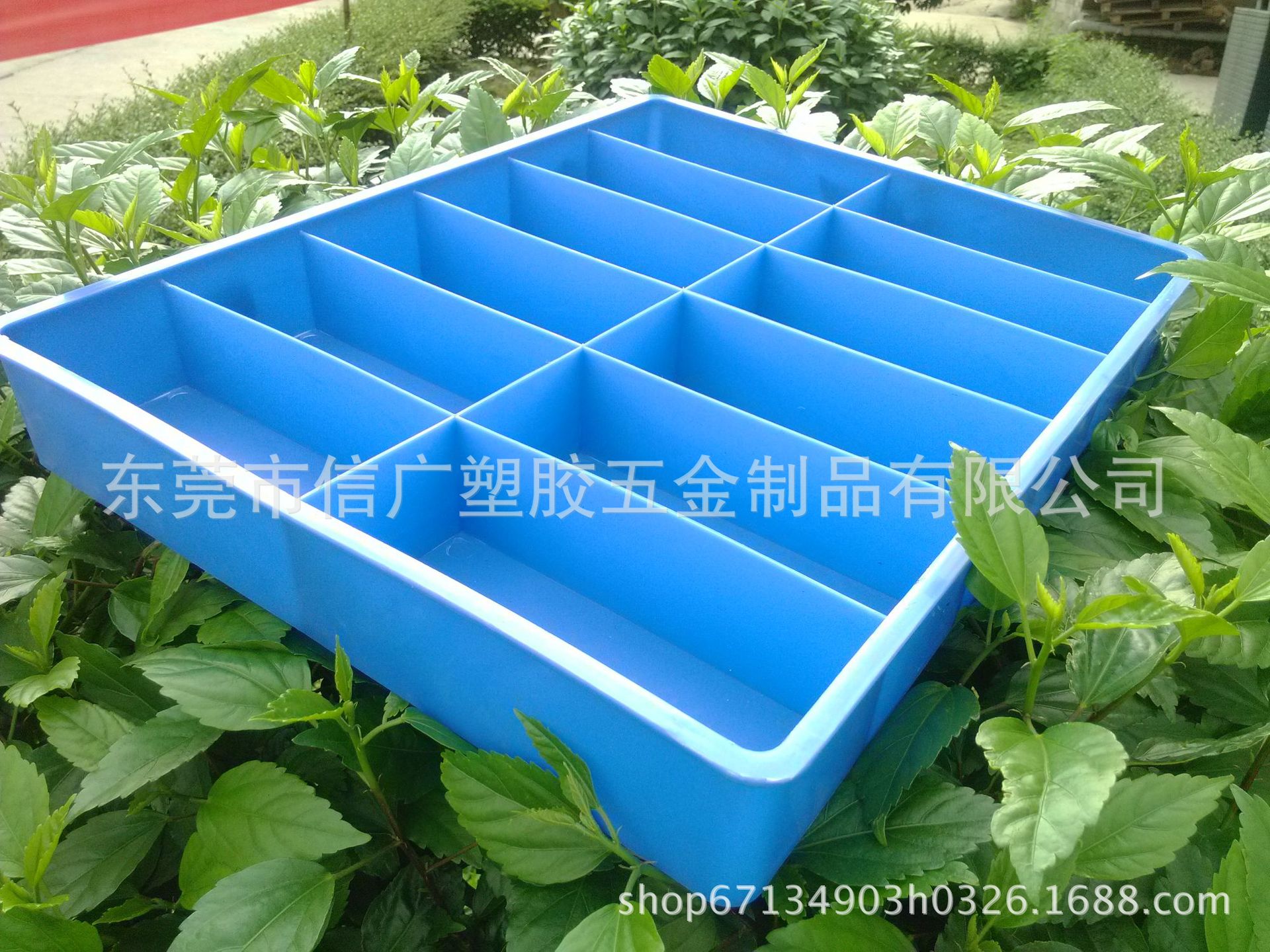 信广塑胶批发 440*350*60 眼镜盘12格  厂家车间 物料分类 眼镜盘