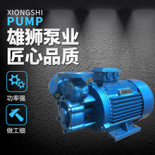 [厂家供应]大型W型旋涡泵 高层给水泵 锅炉给水泵 品质佳 可订购