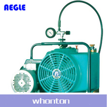 AEGLE呼吸器羿科呼吸器 羿科呼吸空气压缩机60403401