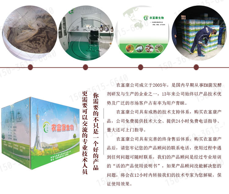 兔子反复拉稀腹泻用什么