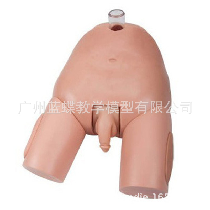 膀胱穿刺1