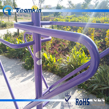 Teamkin戶外健身器材 小區路徑產品 游樂園設施高光紫色粉末涂料