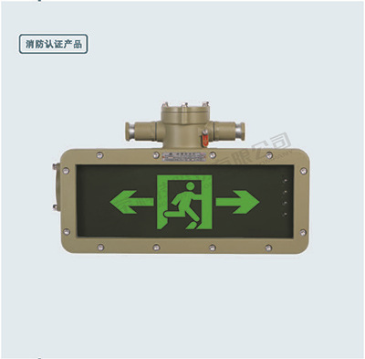 防爆标志灯 应急灯 加工