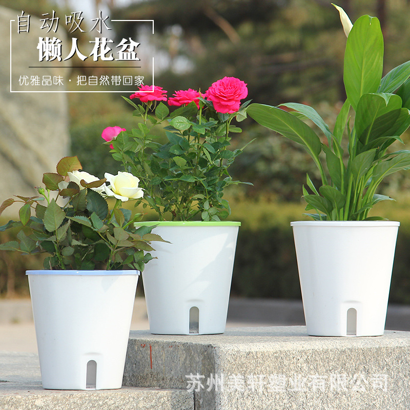 懒人花盆自动吸水创意多肉植物树脂水培盆栽大号圆形塑料花盆批发