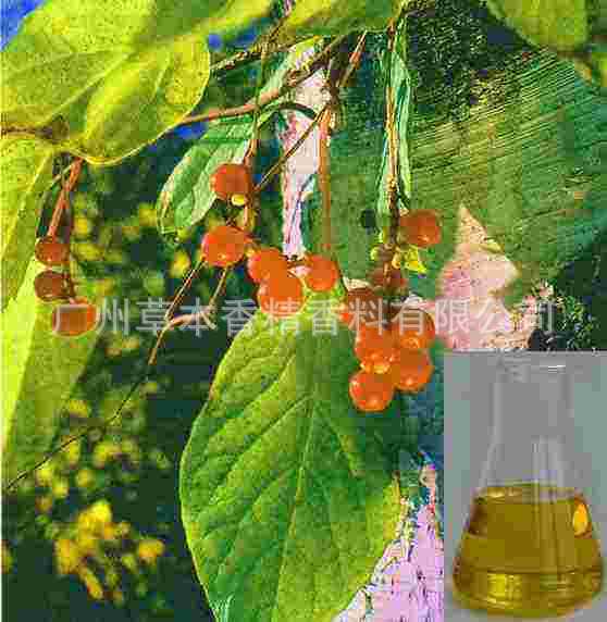 厂家批发  五味子油    美容按摩化妆品精油  10ML