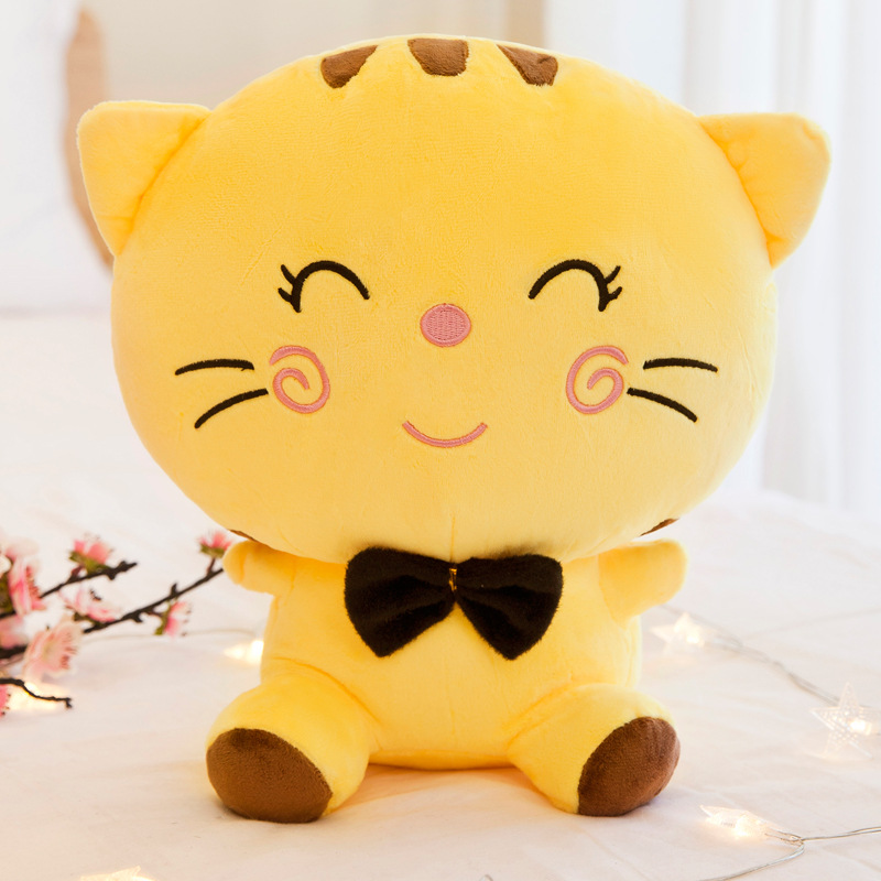 Yellow cute big face cat