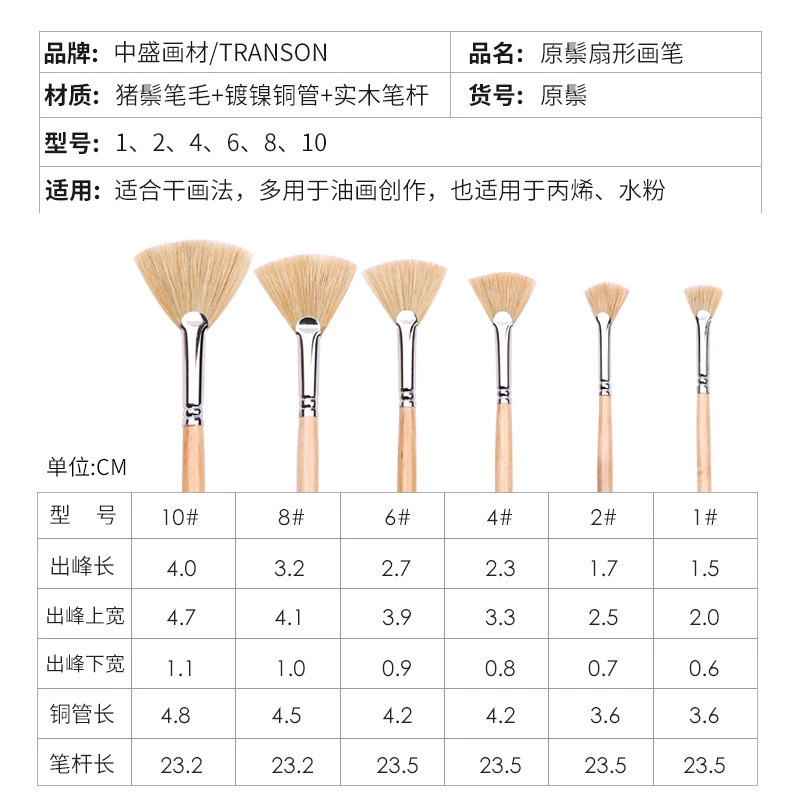 Fan Brush, Natural Boar Bristle, Wooden Handle, Sizes 1–10, 21 cm Length
