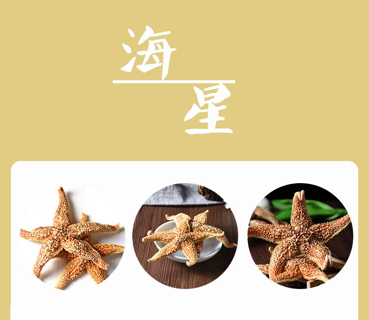 Dried Starfish (Asterias amurensis) — Whole Sea Star for Herbal Wine Infusion & Display key features