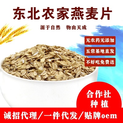 2020年生燕麥片五谷粗糧生燕麥片東北農家自制無糖500g壹件代發