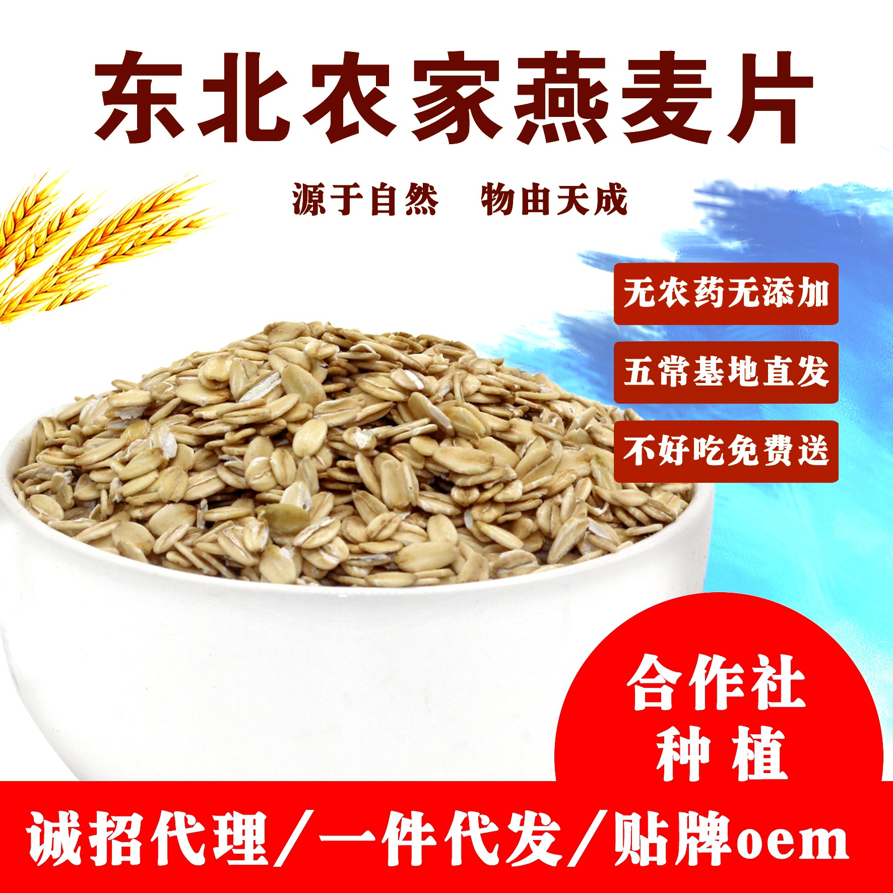 2020年生燕麥片五谷粗糧生燕麥片東北農家自制無糖500g壹件代發