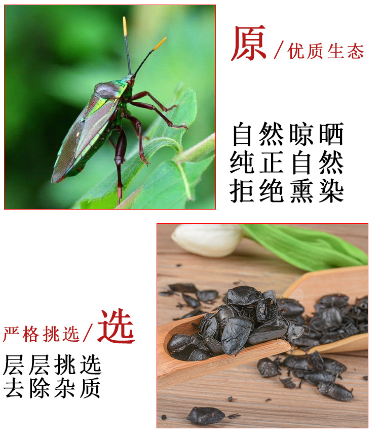 Jiu Xiang Chong (Aspongopus chinensis) — Dried Food-Herb Insect for TCM Decoction & Wellness key features
