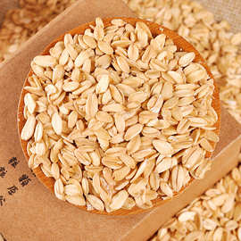 当季新货生燕麦片散装原味非即食生麦片16公斤一件煮粥五谷杂粮粗