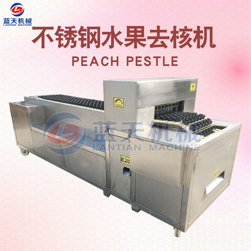 不锈钢水果去核机 专业切半去核机 全自动梨去核机可定制厂家热销