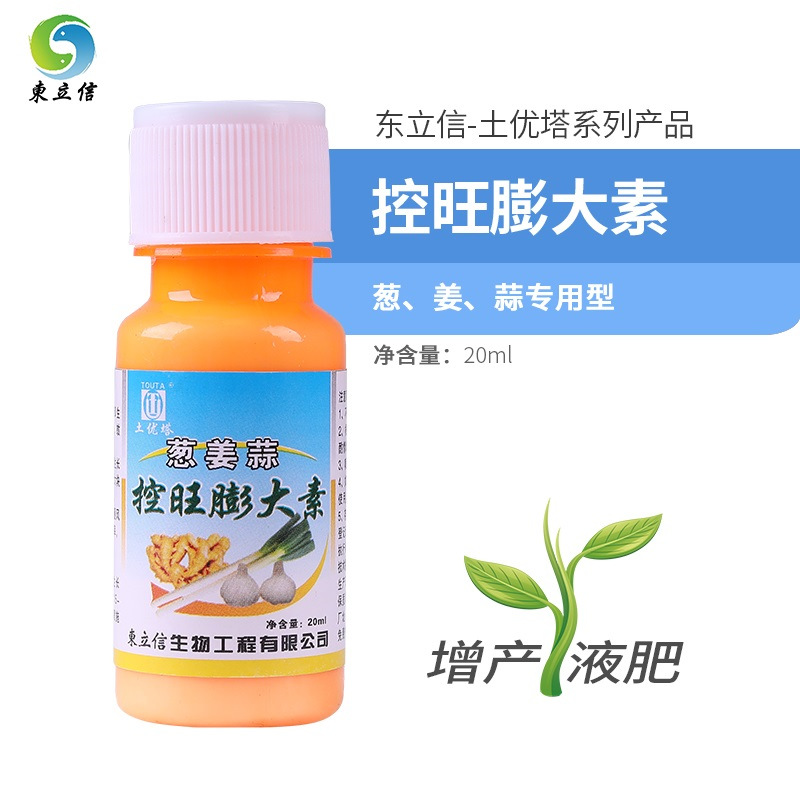 Onion ginger Dedicated Expansin Uniconazole control Botany Expand Rhizome fruit increase Yield