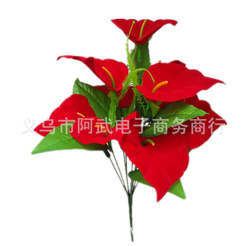 IMG_20180806_154410_副本