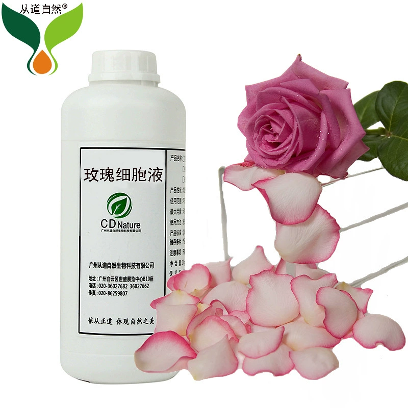 Цветок розы водный завод экстракт клеток жидкий Тонер Увлажняющий прямые поставки косметики крем сырье