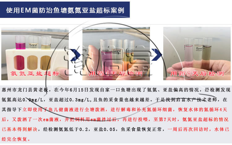 en���������㰸��