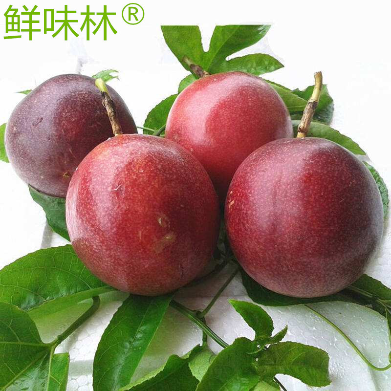 广西新鲜源头热带水果百香果鸡蛋果西番莲酸甜批发5斤代理代发|ms