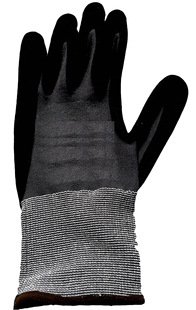 15������ڶ���l������ ���� ��܇��ĥ���z����