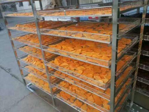 人参枸杞烘干机全自动柿饼无花果箱式红薯干地瓜片烘干厂家