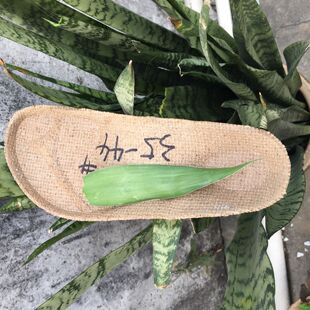 BIRKENSTOܛľ�_����ܛľ�_���еײ�����ܛľЬ��