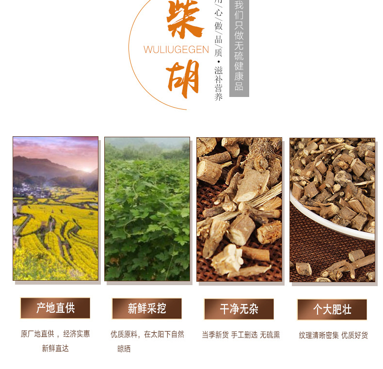 Bei Chai Hu Root (Bupleurum chinense) — Dried TCM Herb, 500g Wholesale Grade key features