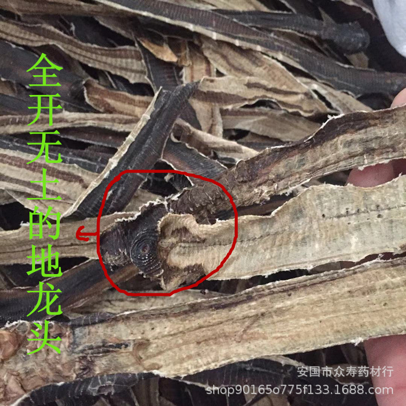中药材 地龙 全开无土地龙 蚯蚓干 有土来回运费我出 可免费打粉-阿里巴巴