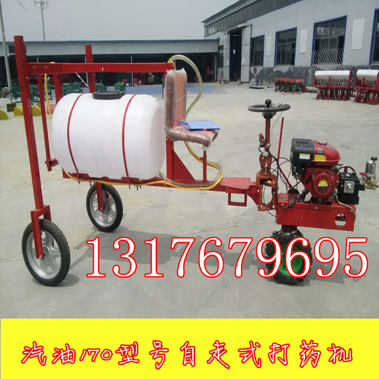 667405301582930602_副本_副本