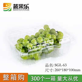 蔬果乐63一次性透明pet水果盒葡萄阳光玫瑰荔枝三斤装包装盒厂家