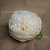 Peony Simulation Flower Celestial Peony Flower Head Wedding Silk Wall Hand Hand DIY Headwear Buhua Home Decoration Fake Flowers