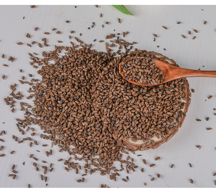 Jue Ming Zi (Cassia obtusifolia) — Dried Food-Herb Seed for Tea & Soup, 500g quality and texture