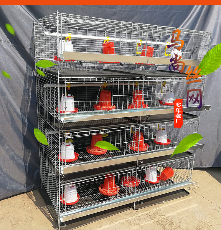 9193083599_423296225