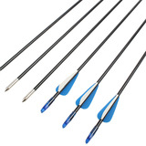 Производитель БЕСПЛАТНАЯ ДОСТАВКА SPONIC SPOT ARCHERY BUSIGNS Упражнения стеклянные волокно стрелки за пределами трещин, прочные 6 -мм капель стеклянных стрел.