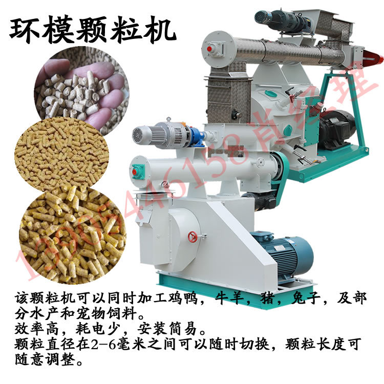 肉牛饲养出路安在？专家调研给出方向