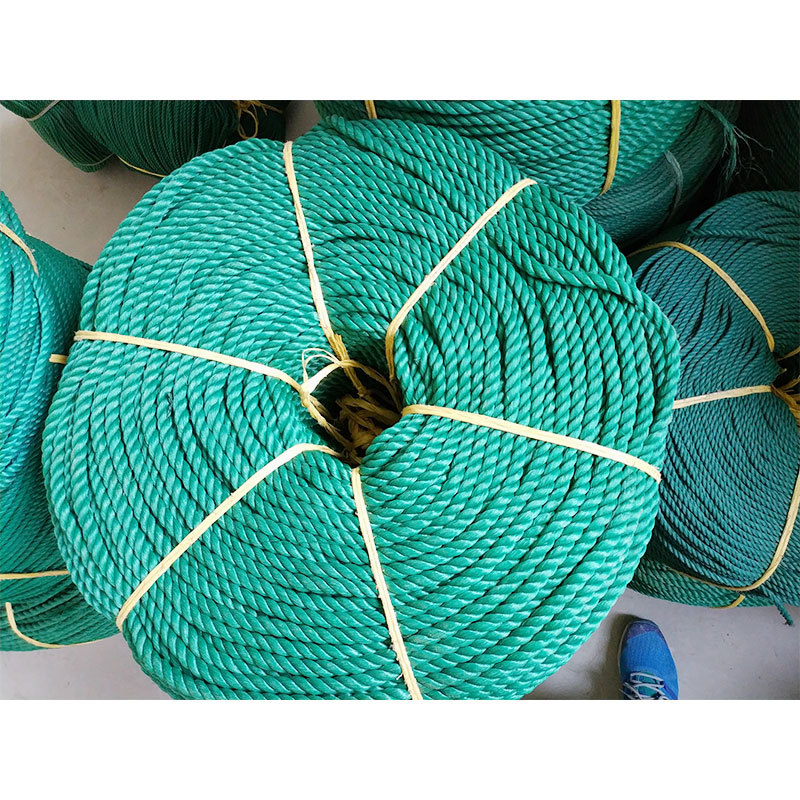 厂家批发PE绳种植大棚绳彩色聚乙烯塑料绳家用户外捆绑绳子-阿里巴巴