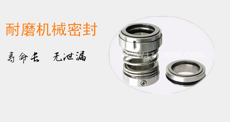 2440289237_905159510