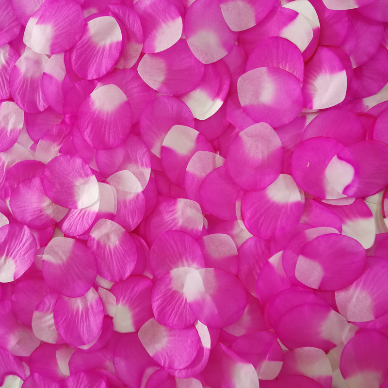 IMG_20180924_130522_副本正