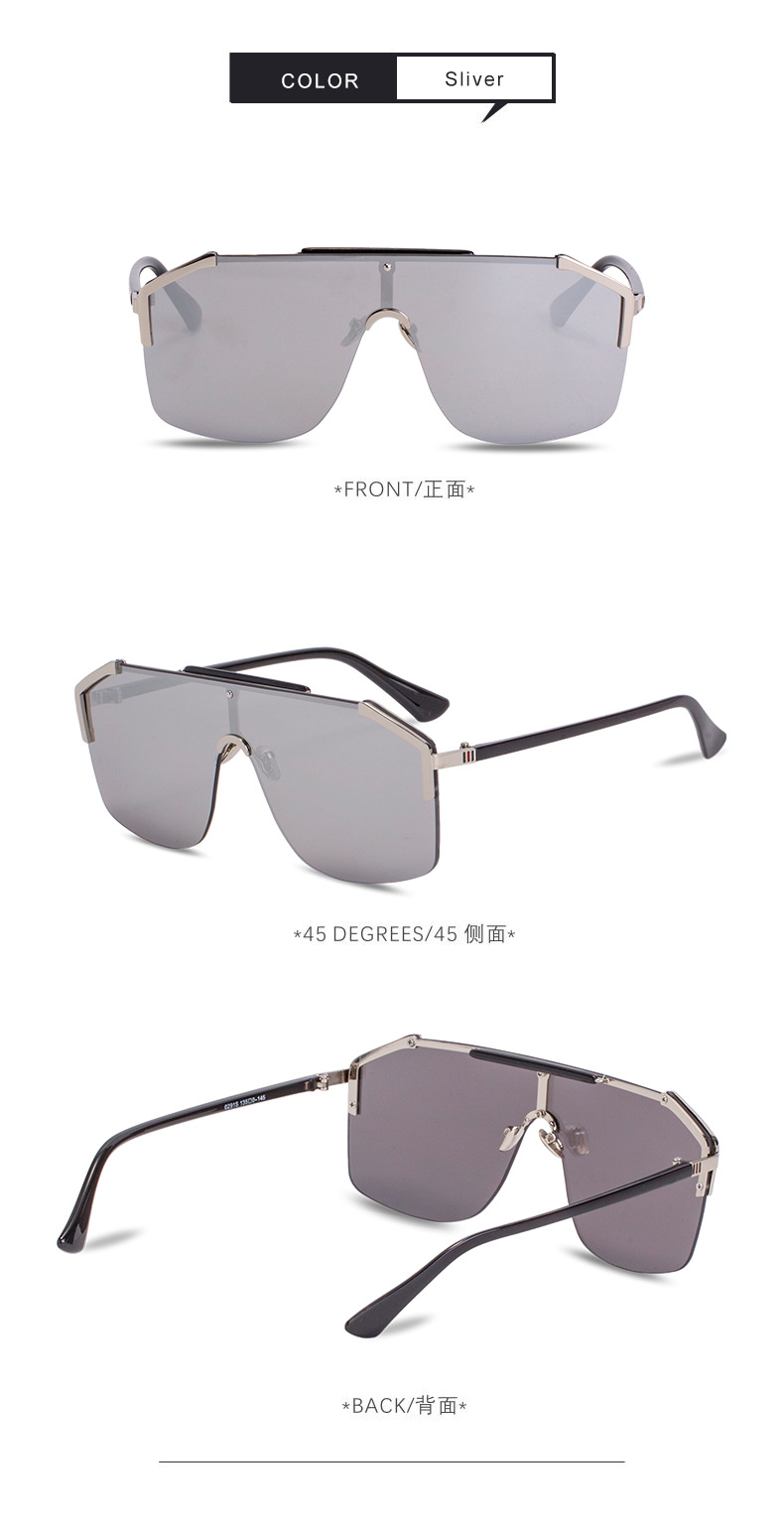 Large Frame New Fashion Style Sunglasses display picture 7