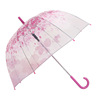 Transparent umbrella cherry blossom umbrella long handle transparent girl goddess Korean retro candy color small fresh Apollo princess