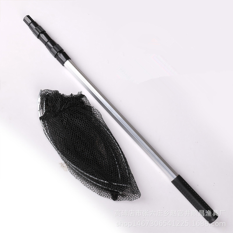 4059163181_1454028250