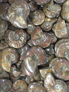 ��Ȼ���� �߲��� ��ʯ�� ����ݻ�ʯ�˱�