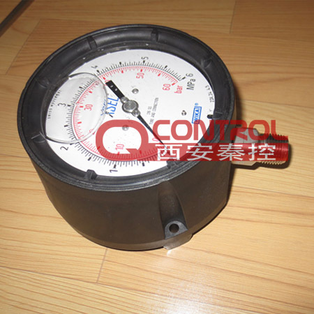 232.34 安全型耐震压力表 德国WIKA