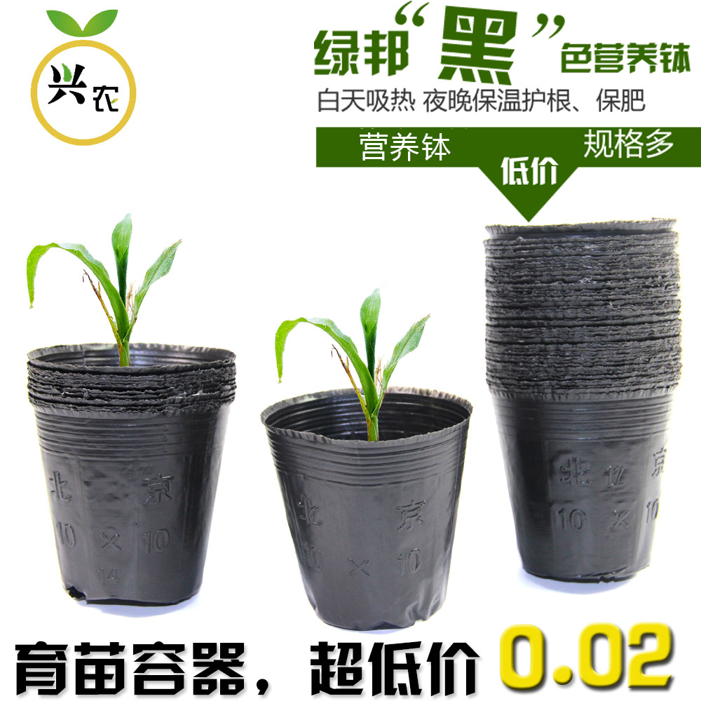 批发 营养钵 塑料 营养袋 营养杯 育苗盆 育苗杯 批发 厂家直销|ms