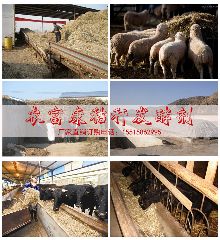 秸秆发酵菌案例.jpg