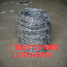 �S�����a��Ƭ���K�̽z�WУ������Ƭ���KС�^�e���������I��Ƭ�̾W