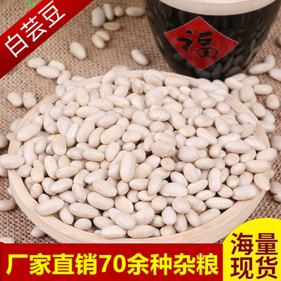 厂家直销东北芸豆农家自产五谷杂粮批发散装粗粮白沙克小白芸豆