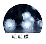 未标题-2-副本_03