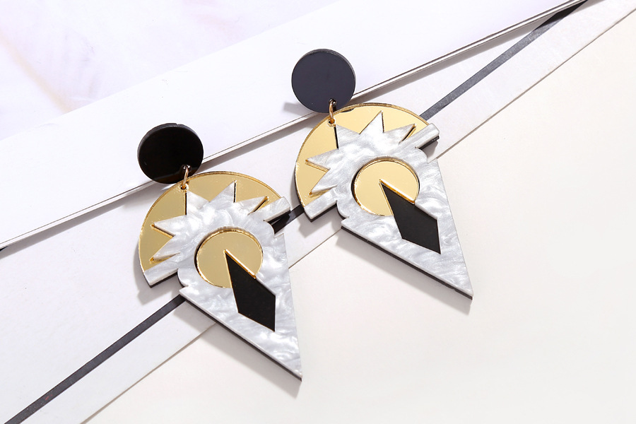 Hot-selling Geometric Retro Acrylic Hot-selling Earrings  Wholesale display picture 6