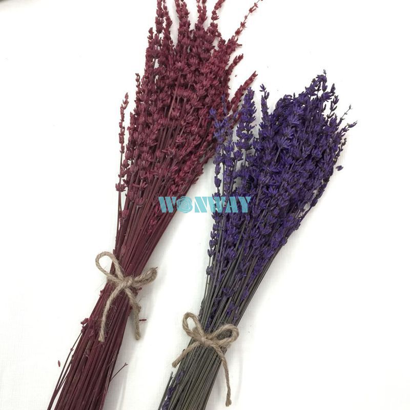 微信图片_20180428101846